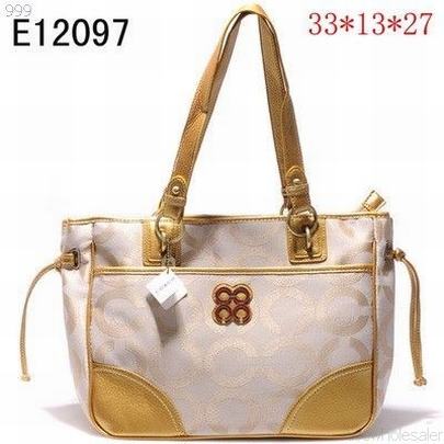 Coach handbags110